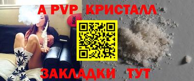 стафф Гай