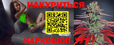 стафф Гай