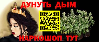 стафф Гай