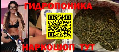 стаф Волгодонск
